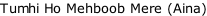 Tumhi Ho Mehboob Mere (Aina)