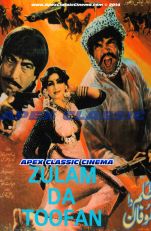 ZulamDaToofan 90s Cinema