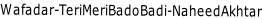 Wafadar-TeriMeriBadoBadi-NaheedAkhtar