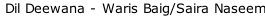 Dil Deewana - Waris Baig/Saira Naseem