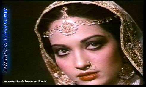 Kaveeta - Star Gallery